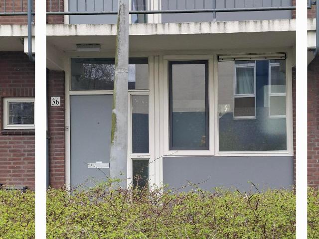 Woning te huur in Oud-Zuid, Amsterdam