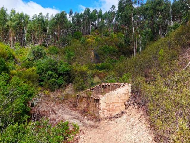 Terreno venda em Portimão, Faro