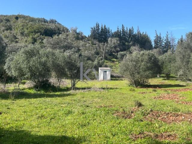 Terreno venda em Portimão, Faro