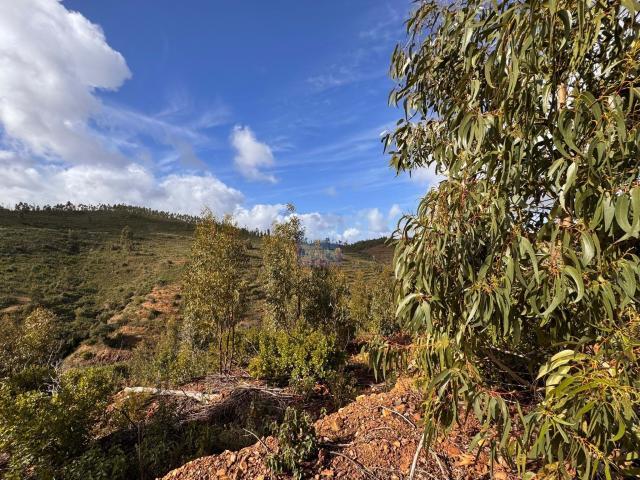 Terreno venda em Portimão, Faro
