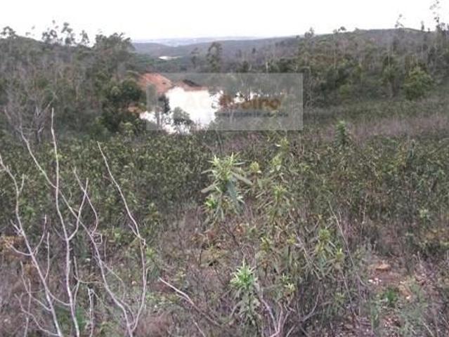 Terreno venda em Portimão, Faro