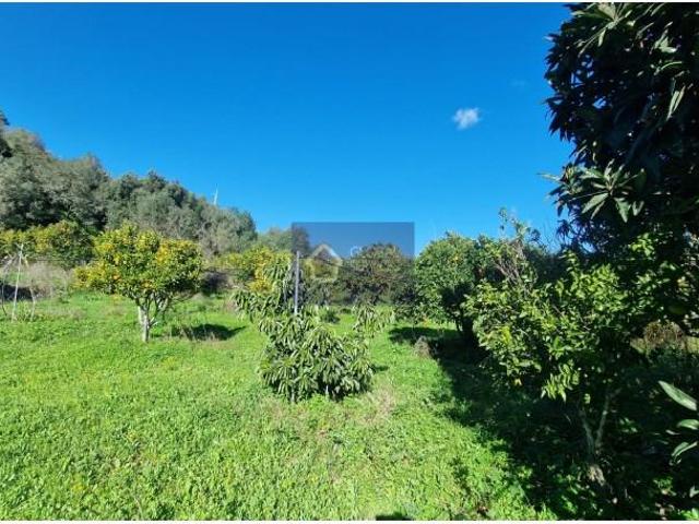 Terreno venda em Portimão, Faro