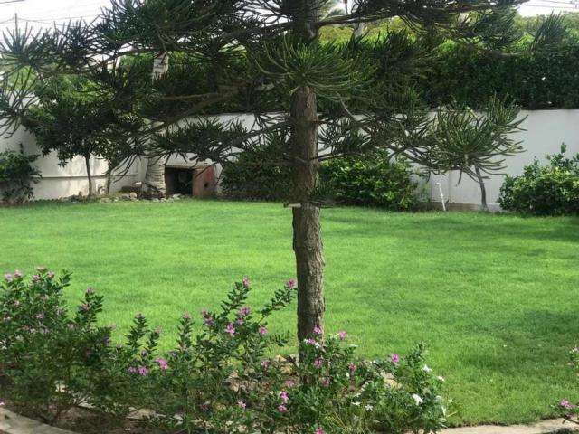 Property for rent in North Waziristan, Federally Administered Tribal Areas fata