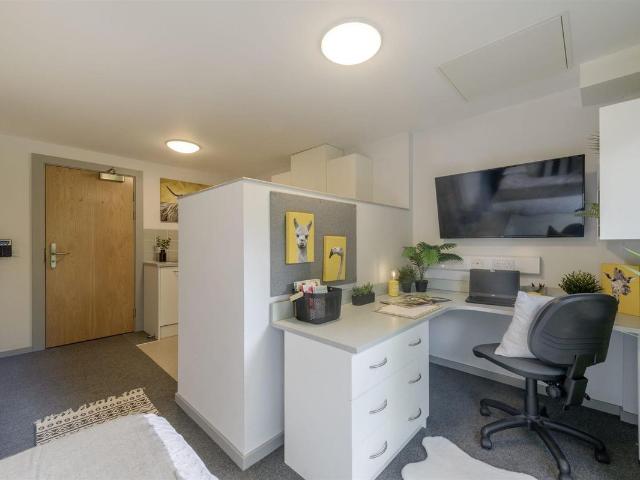Studio for rent in Shieldfield, Tyne And Wear