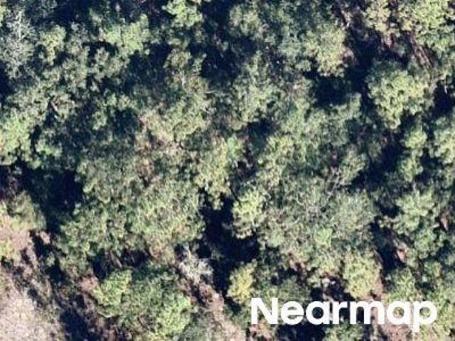 Land for sale in Hawthorne, Florida