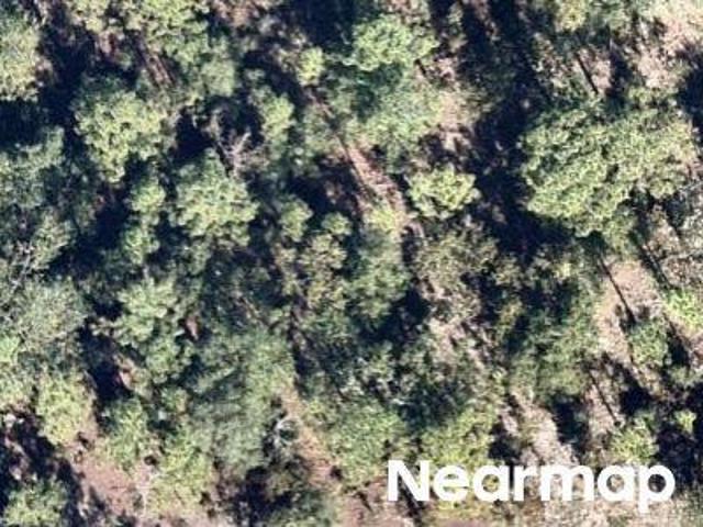Land for sale in Hawthorne, Florida