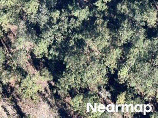 Land for sale in Hawthorne, Florida