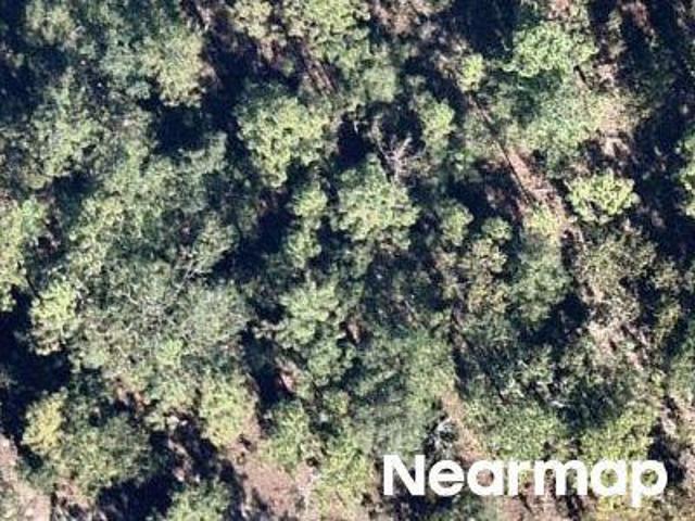 Land for sale in Hawthorne, Florida