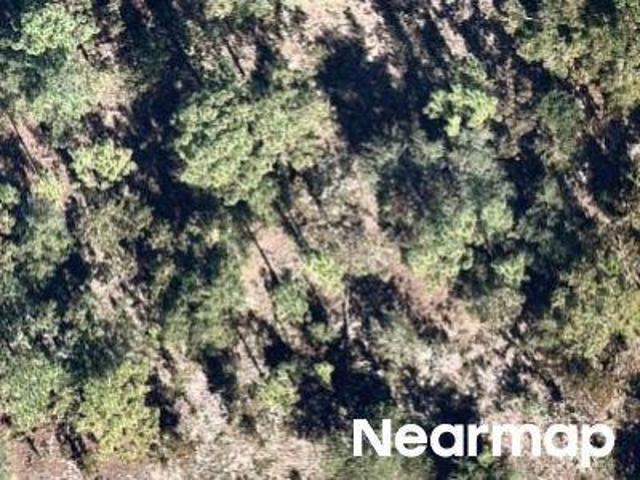 Land for sale in Hawthorne, Florida