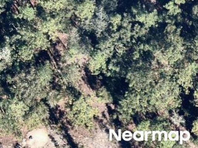 Land for sale in Hawthorne, Florida