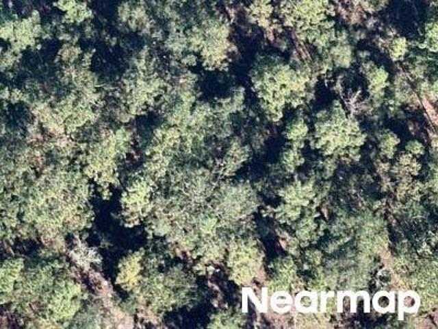 Land for sale in Hawthorne, Florida