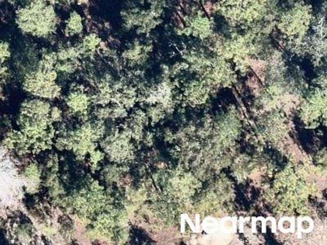 Land for sale in Hawthorne, Florida