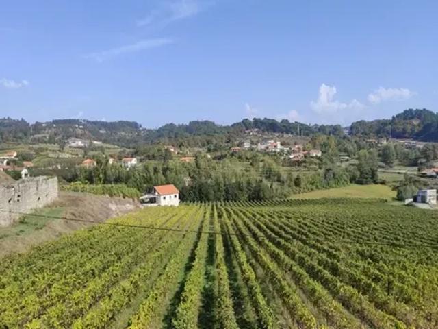 Terreno venda em Porto