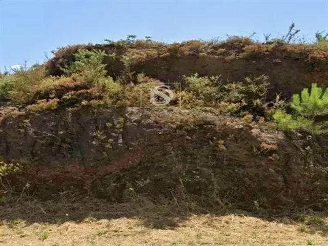 Terreno venda em Porto