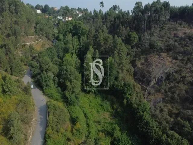 Terreno venda em Porto