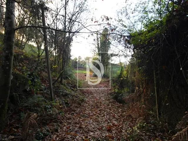Terreno venda em Porto