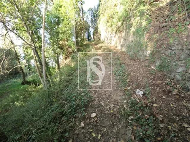 Terreno venda em Porto
