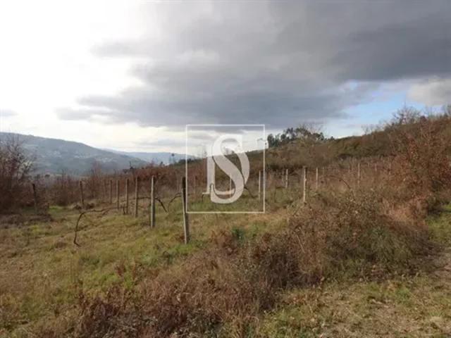 Terreno venda em Porto