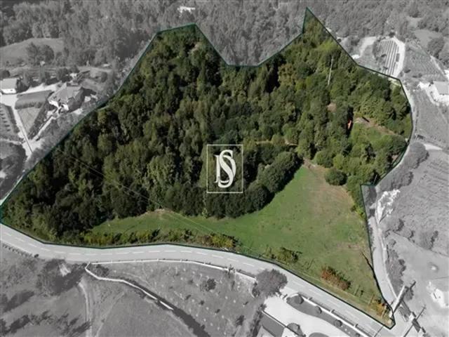 Terreno venda em Porto