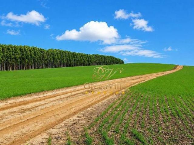 Sítio e chácara venda em Região Geográfica Imediata de Ponta Grossa, Palmeira