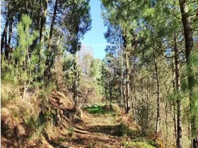 Terreno venda em Porto Manso, Baião
