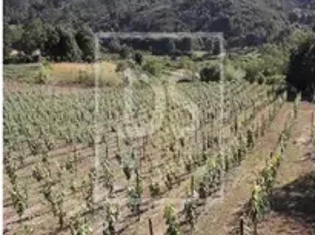Terreno venda em Porto Manso, Baião