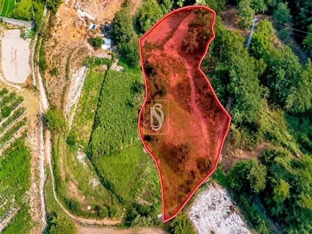 Terreno venda em Ancede e Ribadouro, Baião
