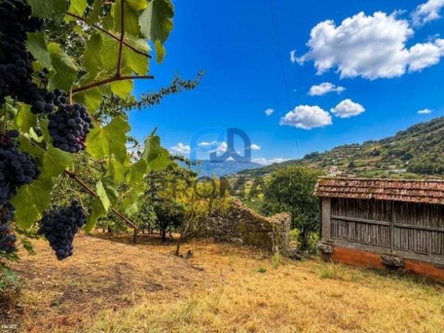 Terreno venda em Santa Marinha do Zêzere, Baião