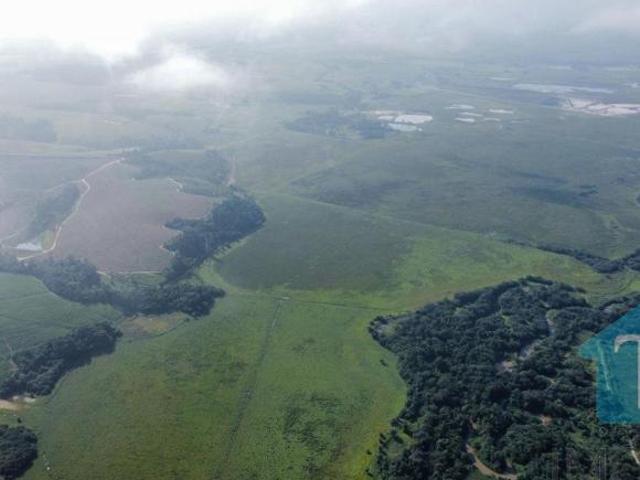 Sítio e chácara venda em Região Imediata de Sorocaba, Região Metropolitana de Sorocaba