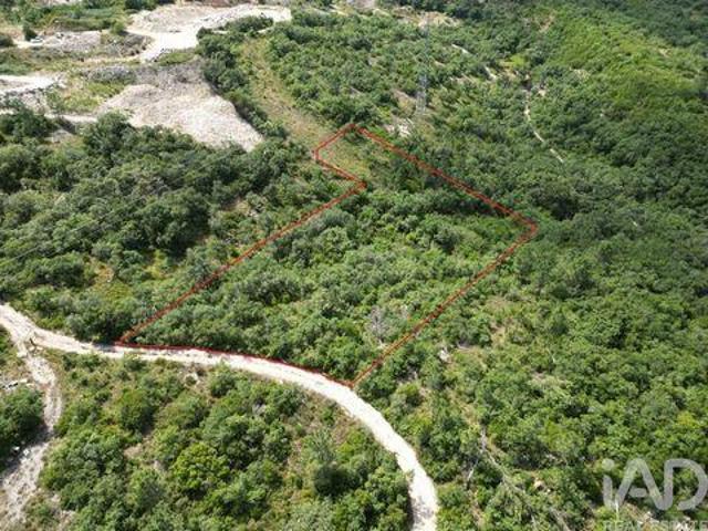 Terreno venda em Covas Altas, Porto De Mós