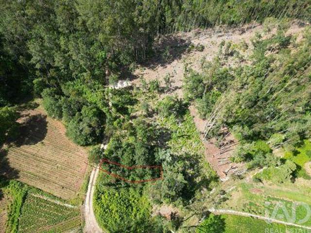 Terreno venda em Covas Altas, Porto De Mós