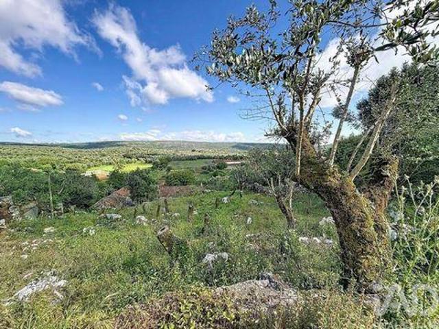 Terreno venda em Porto De Mós, Leiria