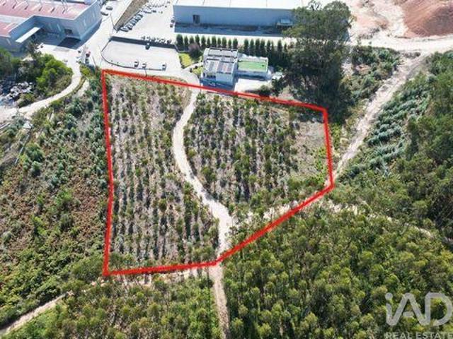 Terreno venda em Pedreiras, Porto de Mós
