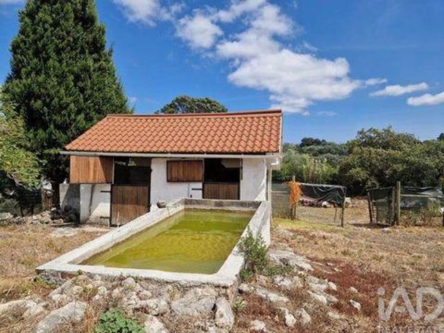 Terreno venda em Zambujal de Alcaria, Porto De Mós