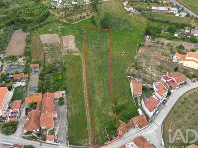 Terreno venda em Porto De Mós, Leiria