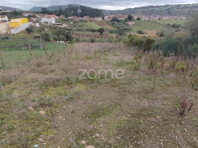 Terreno venda em Porto De Mós, Leiria