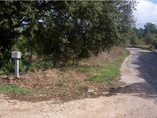 Terreno venda em Porto De Mós, Leiria