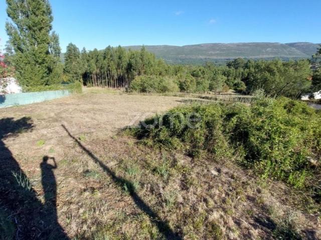Terreno venda em Porto De Mós, Leiria