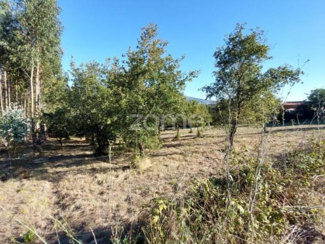 Terreno venda em Porto De Mós, Leiria