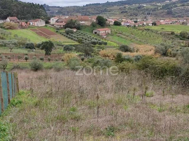 Terreno venda em Porto De Mós, Leiria