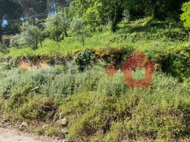 Terreno venda em Porto De Mós, Leiria
