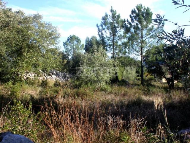 Terreno venda em Porto De Mós, Leiria