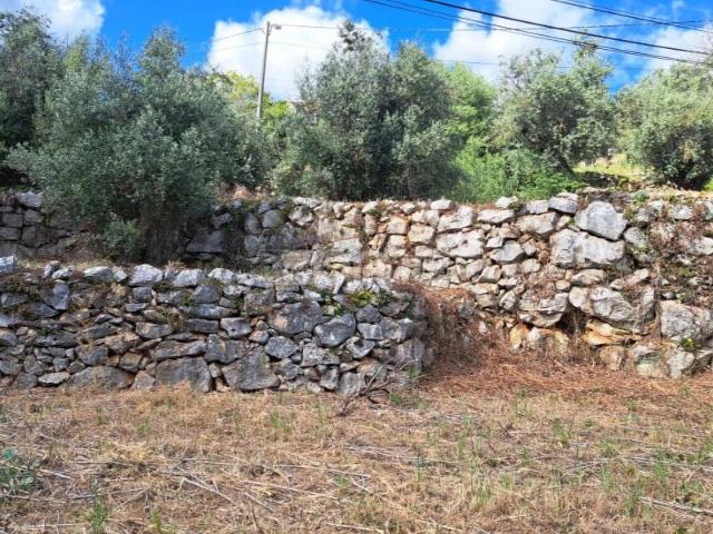 Terreno venda em Porto De Mós, Leiria