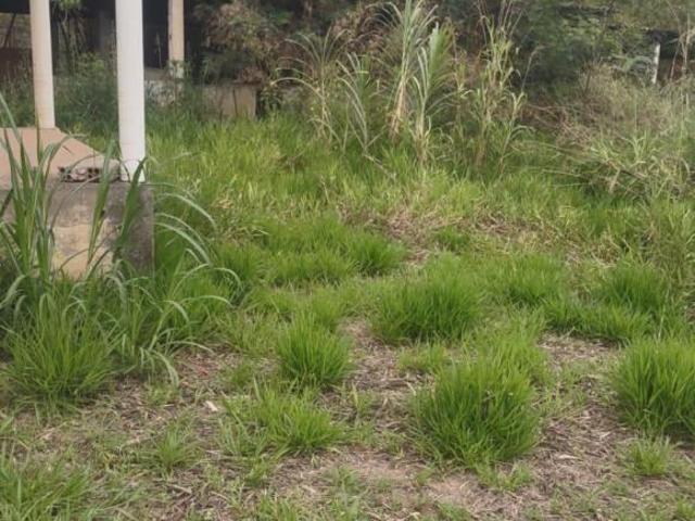 Sítio e chácara venda em Porto Feliz, São Paulo