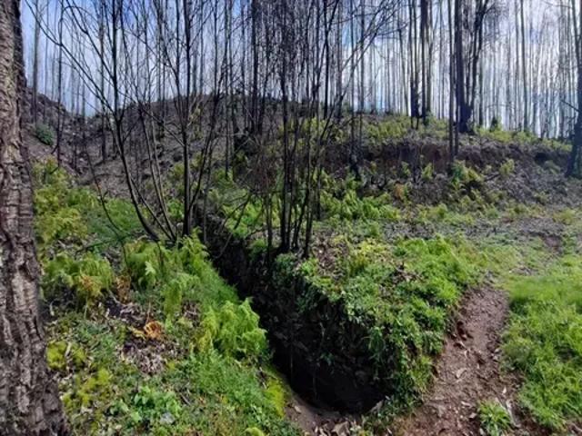 Terreno venda em Porto
