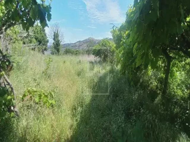 Terreno venda em Várzea do Douro, Várzea