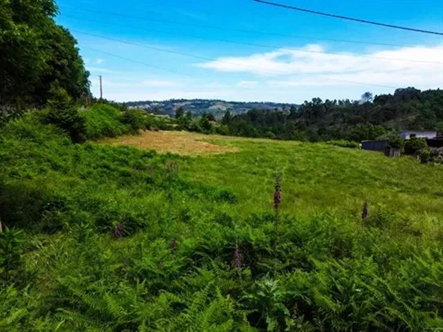 Terreno venda em Várzea do Douro, Várzea