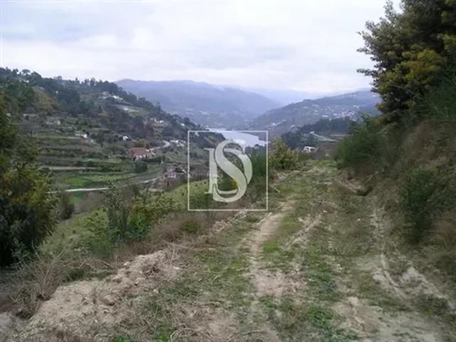 Terreno venda em Várzea do Douro, Várzea