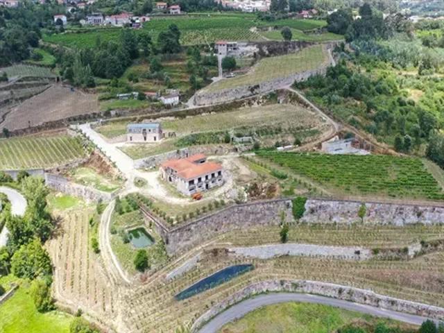 Terreno venda em Várzea do Douro, Várzea