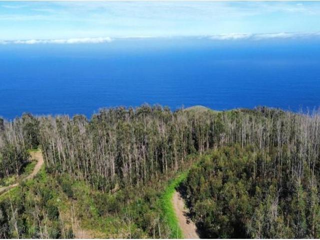 Terreno venda em Porto Moniz, Ilha Da Madeira